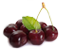 tag Black Cherry icon