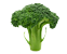 tag Broccoli icon