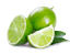 tag Lime icon