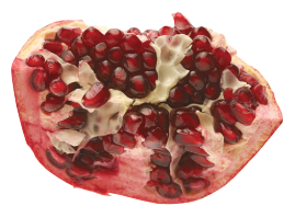 tag Pomegranate icon