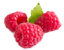 tag Raspberries icon