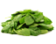 tag Spinach icon